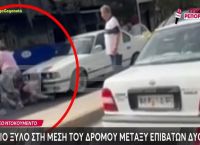 Αιγάλεω ξύλο: Έτσι ξεκίνησε το επεισόδιο στη μέση της Θηβών – «Έκανε μαγκιές, έκλεινε τον δρόμο»