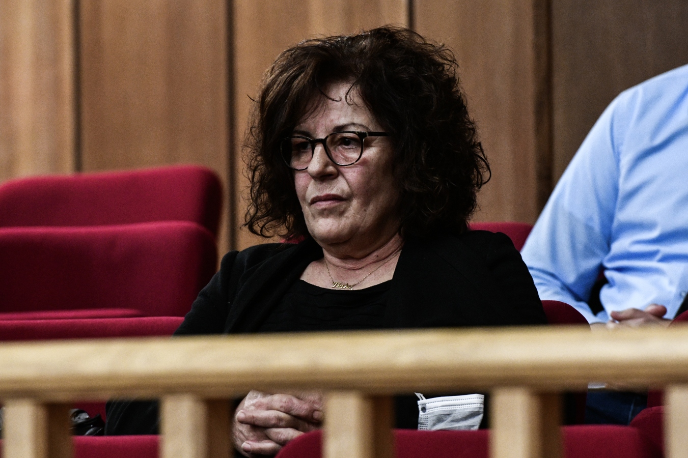 Μάγδα Φύσσα: «Μόνο φυλακή δεν έχει κάνει ο Μιχαλολιάκος» [vid]