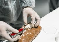 Κοντέινερ από το Εκουαδόρ που έκρυβε 46 κιλά κοκαΐνη εντόπισε η ΑΑΔΕ
