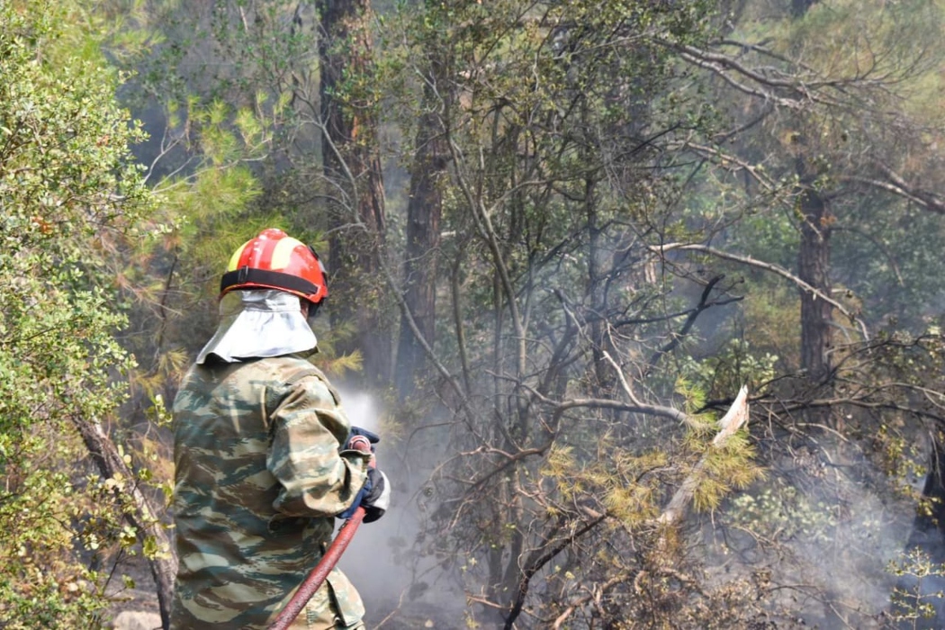 Spanish experts submit Evros fire recommendations