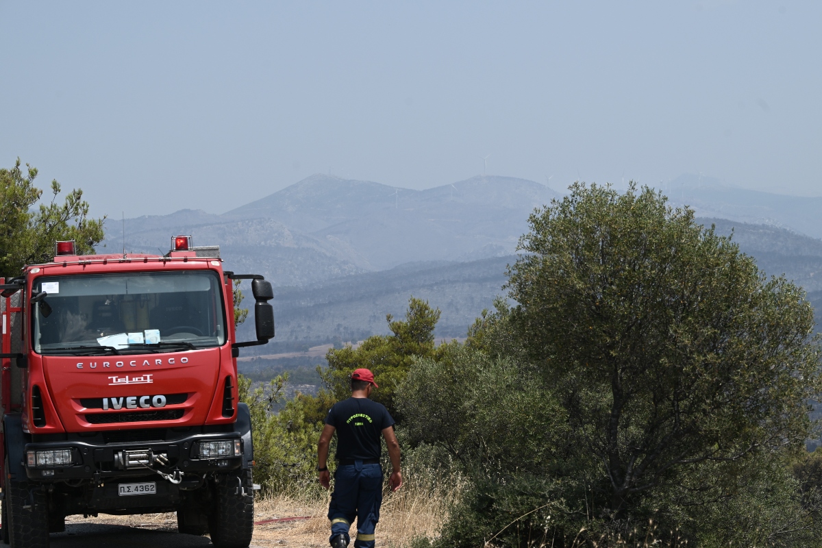 Αφίδνες: Πυρκαγιά ξέσπασε στην περιοχή Δροσοπήγη – Επιχειρούν και εναέρια μέσα