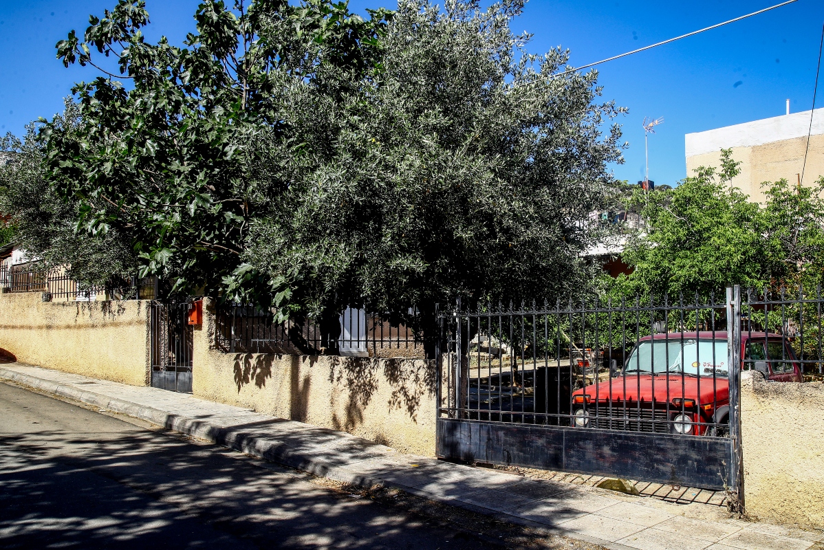 Άνω Λιόσια: «Δεν θέλω να με δέσετε» – Βίντεο ντοκουμέντο από τη σύλληψη του 59χρονου