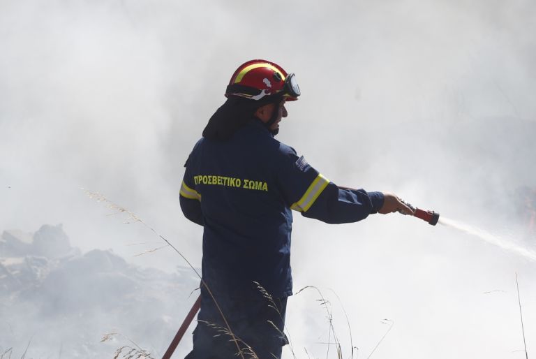 Μάχη με τις φλόγες σε Αργολίδα, Ηλεία και Αχαΐα [vid]