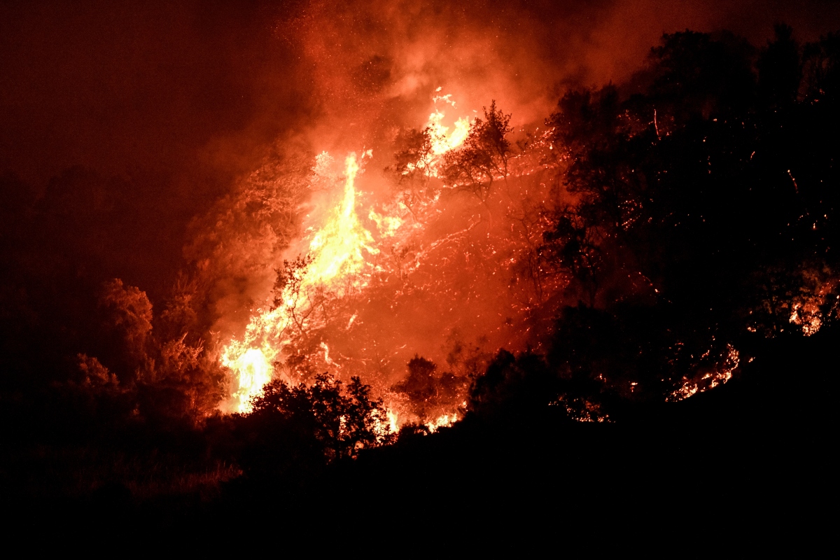 Χωρίς ενεργό μέτωπο η φωτιά στην Κερατέα -Ισχυρές δυνάμεις της πυροσβεστικής στο σημείο