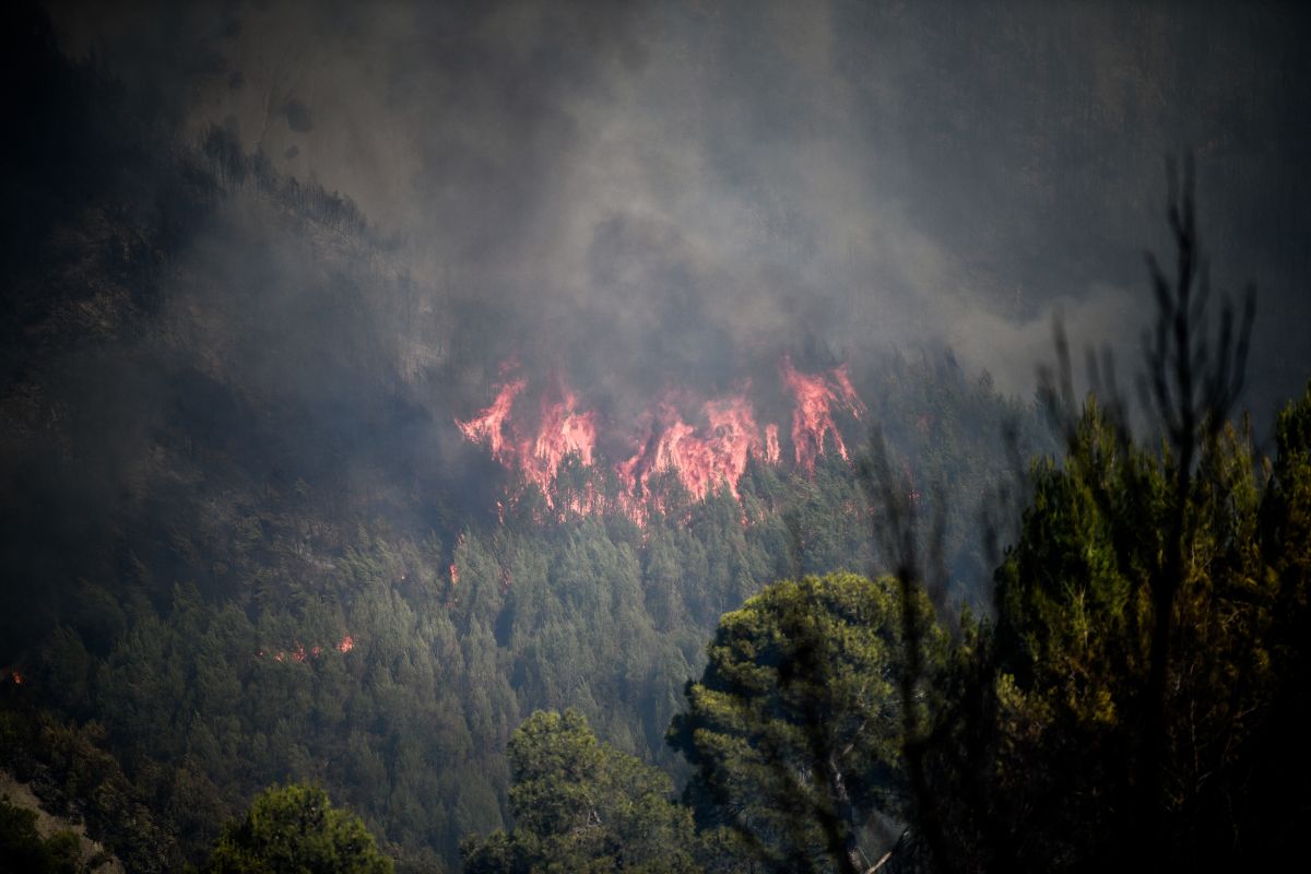Σε επιφυλακή ακόμη και για «mega fires» η χώρα έως και τον Δεκαπενταύγουστο [vid]