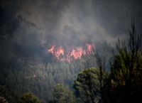 Συναγερμός για 46 αγροτοδασικές πυρκαγιές το τελευταίο εικοσιτετράωρο σε όλη τη χώρα Συναγερμός για 46 αγροτοδασικές πυρκαγιές το τελευταίο εικοσιτετράωρο σε όλη τη χώρα