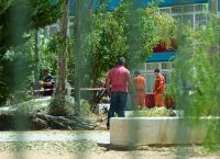 Νεκρός ο εργάτης που καταπλακώθηκε από δέντρο στου Παπάγου