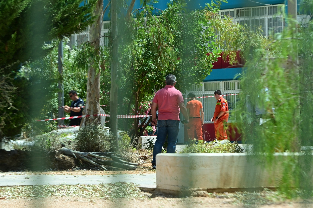 Νεκρός ο εργάτης που καταπλακώθηκε από δέντρο στου Παπάγου