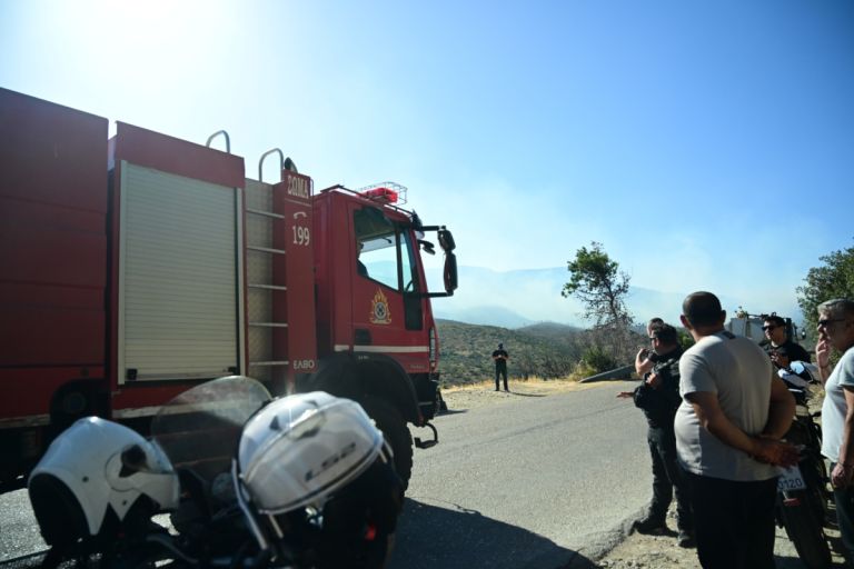 Φωτιά στην Κερατέα: Καίγονται σπίτια – Μήνυμα 112 για εκκένωση σε έξι οικισμούς [vid]