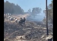 Φωτιά στην Κερατέα: Αστυνομικοί απομακρύνουν ηλικιωμένους από το σπίτι τους [vid]