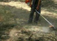 Παρατείνεται έως τις 15 Ιουλίου η προθεσμία για τη δήλωση καθαρισμού των οικοπέδων