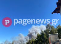 Φωτιά τώρα στη Σταμάτα Διονύσου κοντά σε σπίτια: Εστάλη μήνυμα από το «112» [pics]