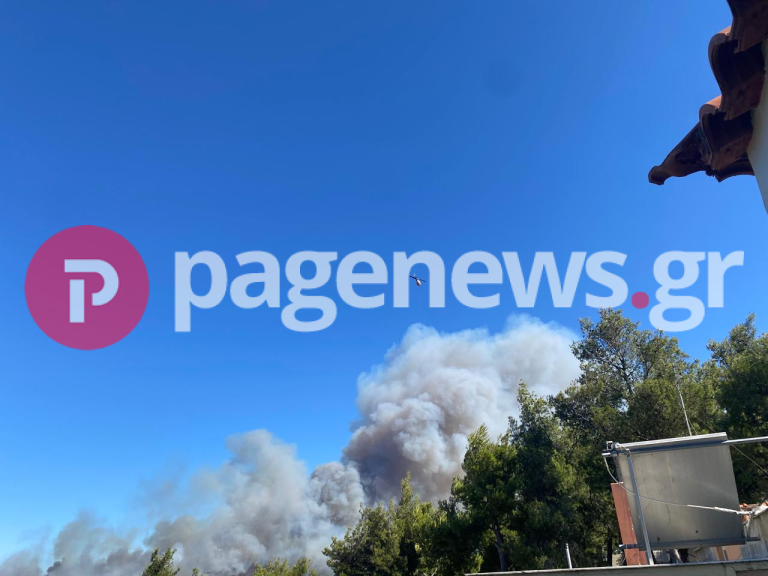 Φωτιά τώρα στη Σταμάτα Διονύσου κοντά σε σπίτια: Εστάλη μήνυμα από το «112» [pics]
