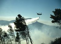 Πυρκαγιές: Χωρίς ενεργό μέτωπο στα Σταμάτα – Διάσπαρτες εστίες στην Κερατέα, Ζάκυνθο και Δίστομο