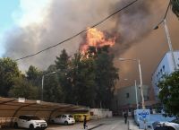 Χωρίς ενεργό μέτωπο η μεγάλη πυρκαγιά στην Πάτρα – Τέθηκε υπό έλεγχο εντός δύο ωρών [vid]