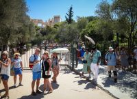 Τουρισμός: Αύξηση σε αφίξεις και διανυκτερεύσεις τον Μάιο σε σχέση με το 2023 [vid]