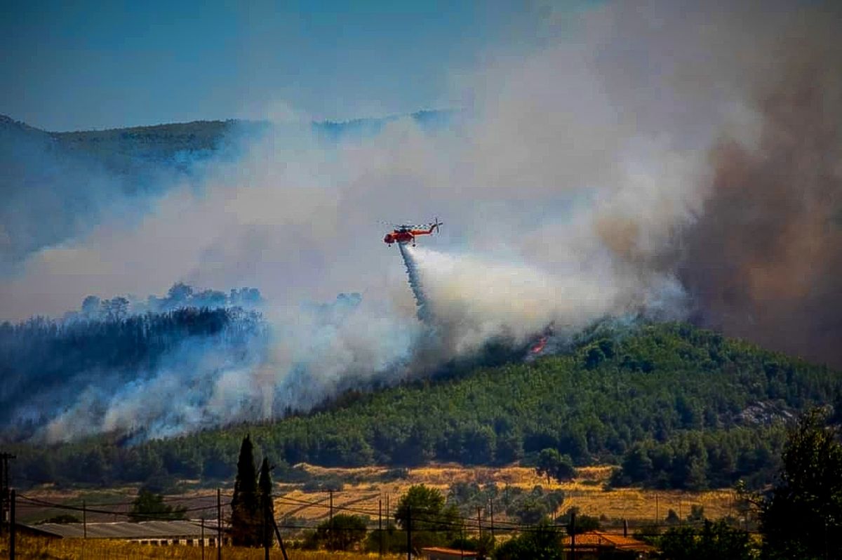 Φωτιά στην Εύβοια: Τρία μηνύματα του 112 – Ισχυροί άνεμοι δυσκολεύουν το έργο της Πυροσβεστικής