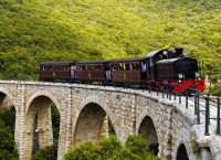 Mount Pelion steam train resumes service on July 1 Mount Pelion steam train resumes service on July 1