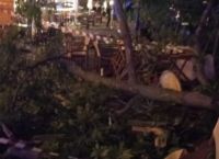 Πιερία: Οι τελευταίες στιγμές της 44χρονης-«Έπινε το ποτό της και ξαφνικά το κλαδί την πλάκωσε»