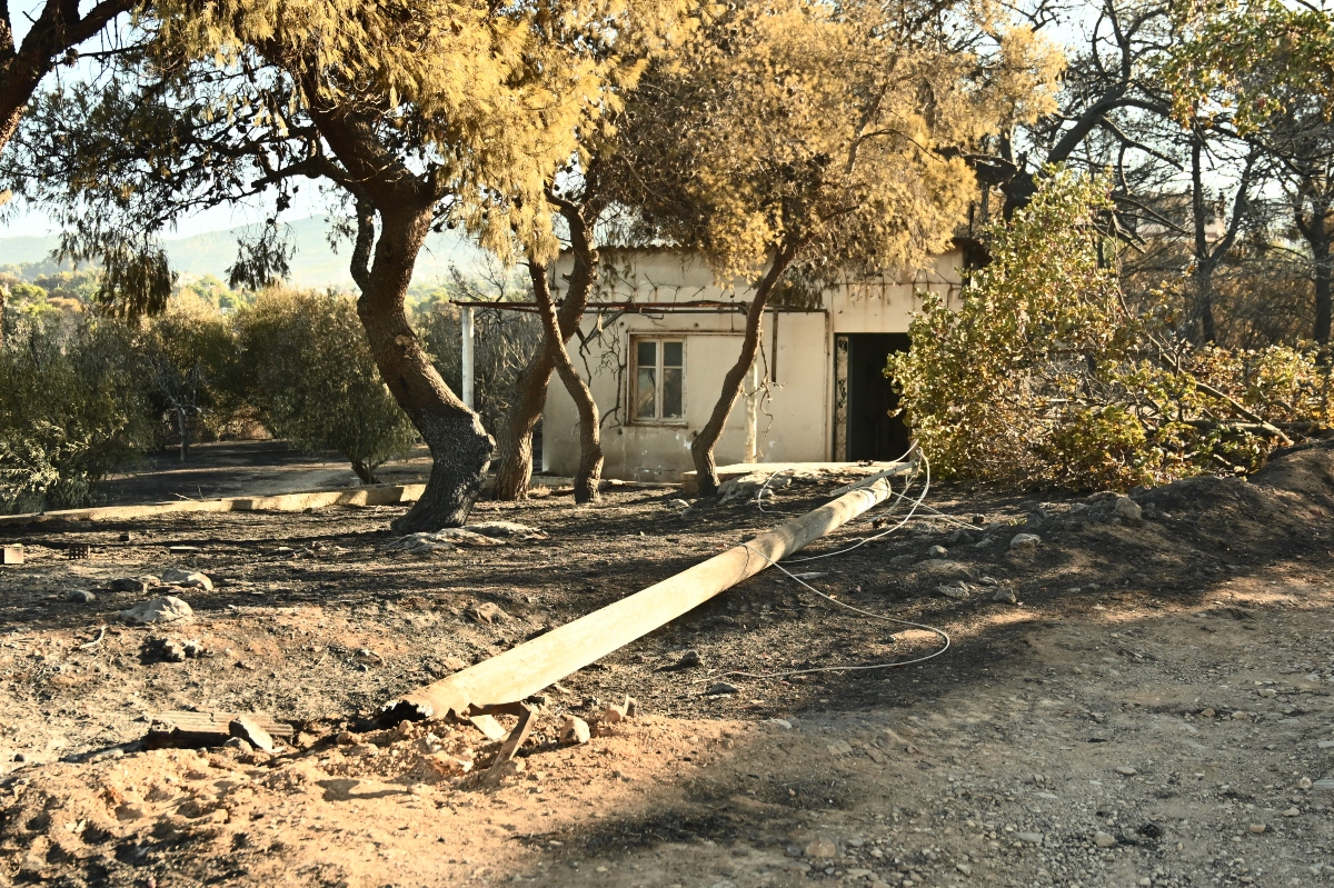 Πολιτική Προστασία: Σοβαρός κίνδυνος φωτιάς σε επτά περιοχές