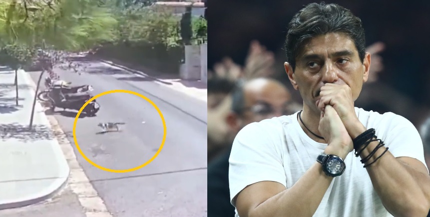 Ανατριχιαστικό βίντεο: Αυτοκίνητο πατά τον γάτο του Δημήτρη Γιαννακόπουλου και τον εγκαταλείπει!