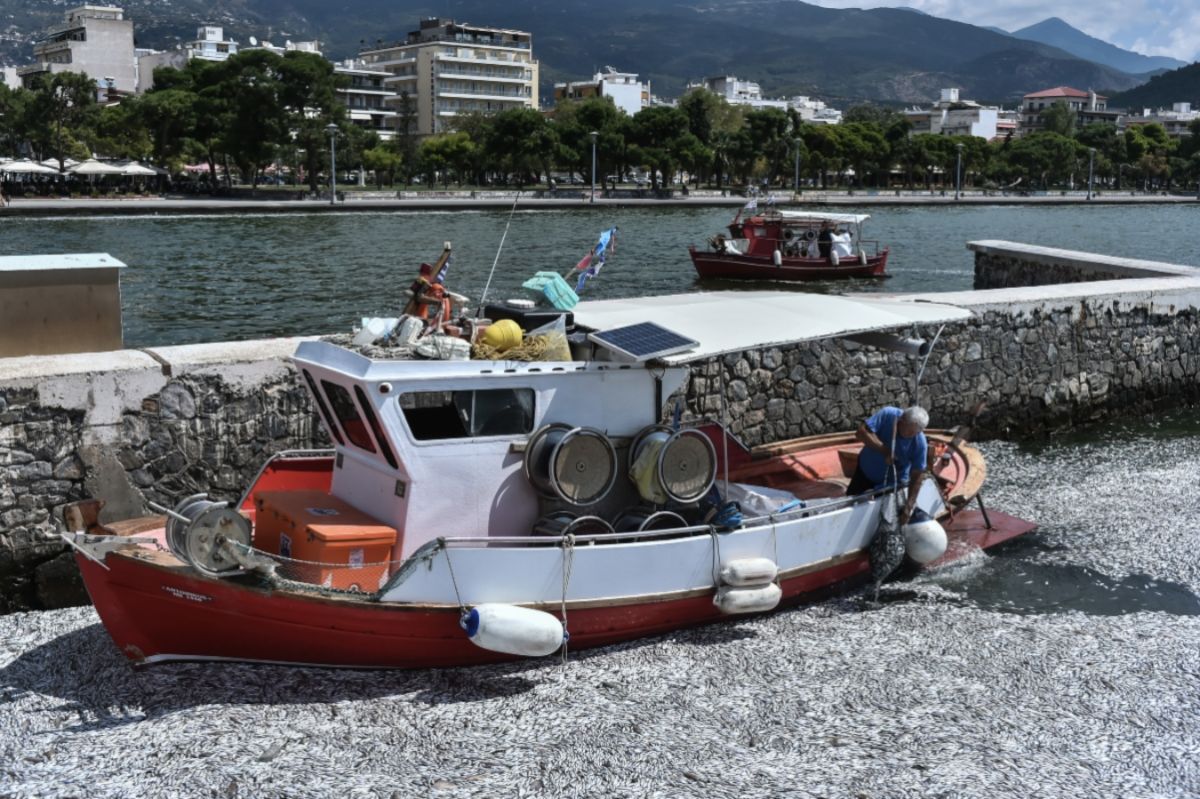 Παρέμβαση του Αρείου Πάγου για τα ψάρια του Βόλου: Διετάχθη κατεπείγουσα εισαγγελική έρευνα
