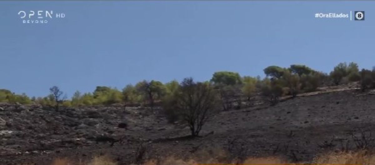 Πρόστιμα 9.200 ευρώ για πυρκαγιά από πρόθεση για τους 2 συλληφθέντες ανήλικους στη Γλυφάδα