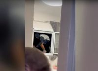Τρόμος για τουρίστες στην Κορινθία:Ληστές μπήκαν στο σπίτι που παραθέριζαν–Το παιδί τους έκλαιγε τρομαγμένο