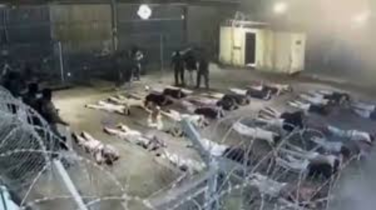 Φρίκη: Βίντεο καταγράφει ομαδικό βιασμό Παλαιστινίου από Ισραηλινούς στρατιώτες σε φυλακή του Ισραήλ