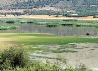 Λειψυδρία: SOS εκπέμπει και η λίμνη Αμβρακία – Έπεσε η στάθμη των υδάτων