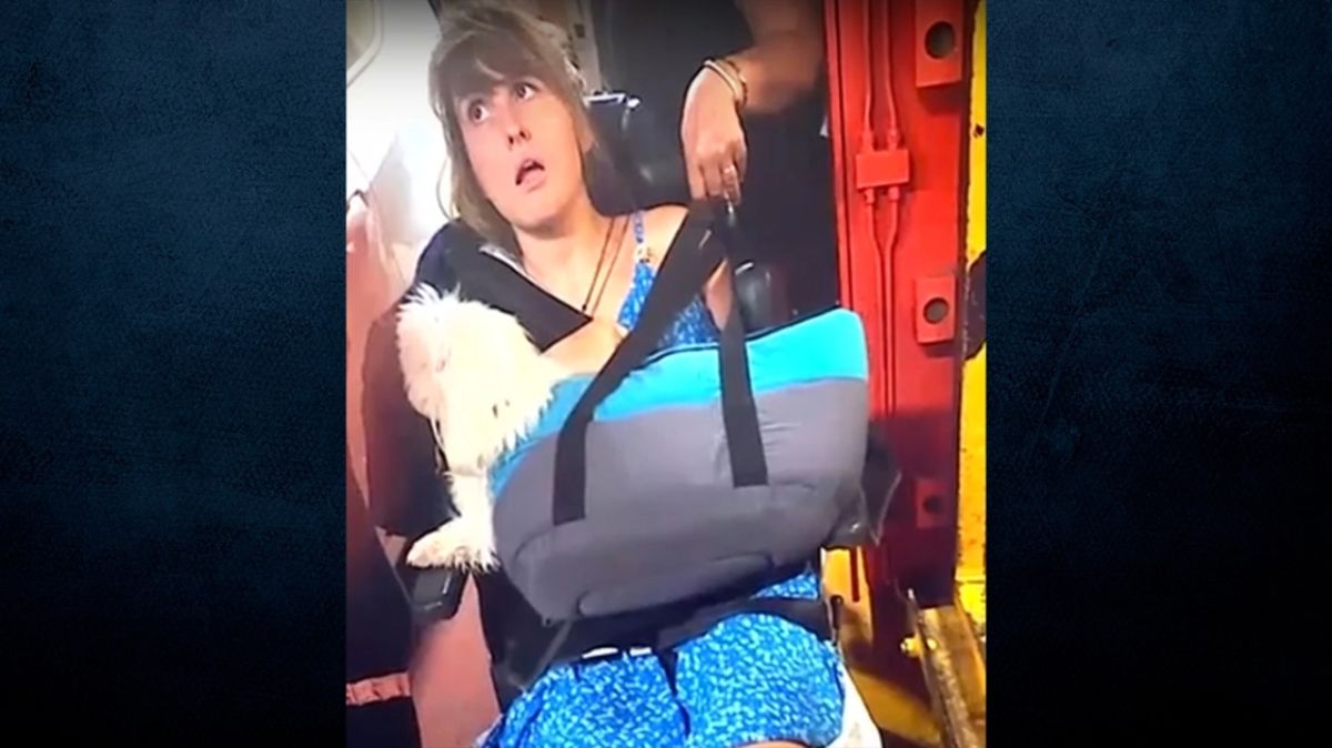 Απίστευτο! Στρίμωξαν στο γκαράζ πλοίου τη Μυρτώ και το αμάξι ΑΜΕΑ – Τι καταγγέλλει η μητέρα της