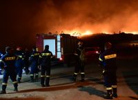 Οι τέσσερις λόγοι που εξαπλώθηκε γρήγορα η φωτιά στην Αττική – Η ερμηνεία Λέκκα