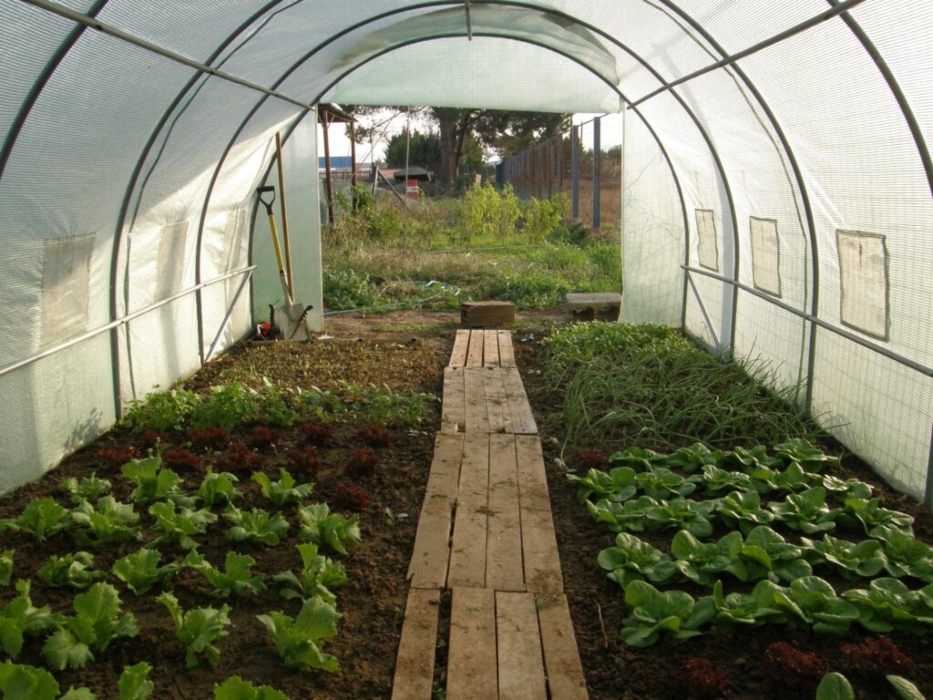 Greece to Launch 600-Mln-Euro Greenhouse Program