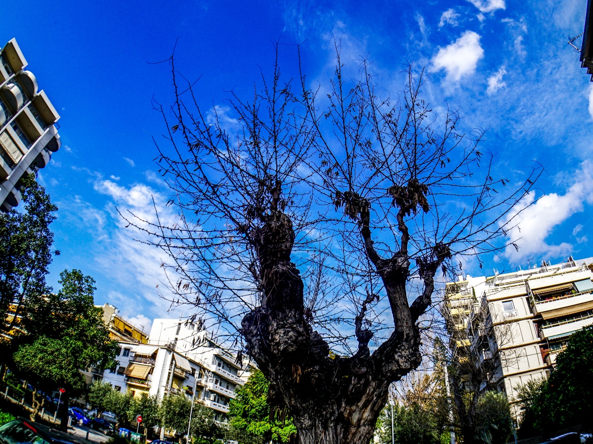 Επιμένουν οι υψηλές θερμοκρασίες – Πότε όμως αλλάζει το σκηνικό του καιρού και έρχονται βροχές και καταιγίδες