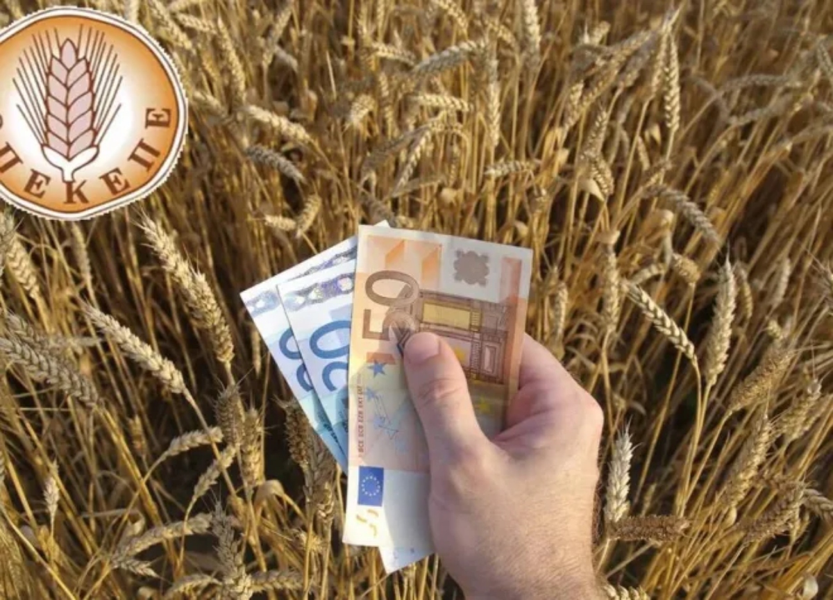 ΟΠΕΚΕΠΕ: Ολοκληρώθηκε η υποβολή των αιτήσεων της Ενιαίας Αίτησης Ενίσχυσης (ΕΑΕ) έτους 2024