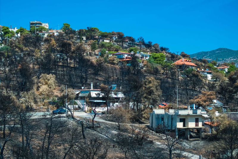 ΕΑΕΕ: Ξεπερνούν τα 11 εκατ. ευρώ οι αποζημιώσεις για τις δασικές πυρκαγιές του Αυγούστου 2024