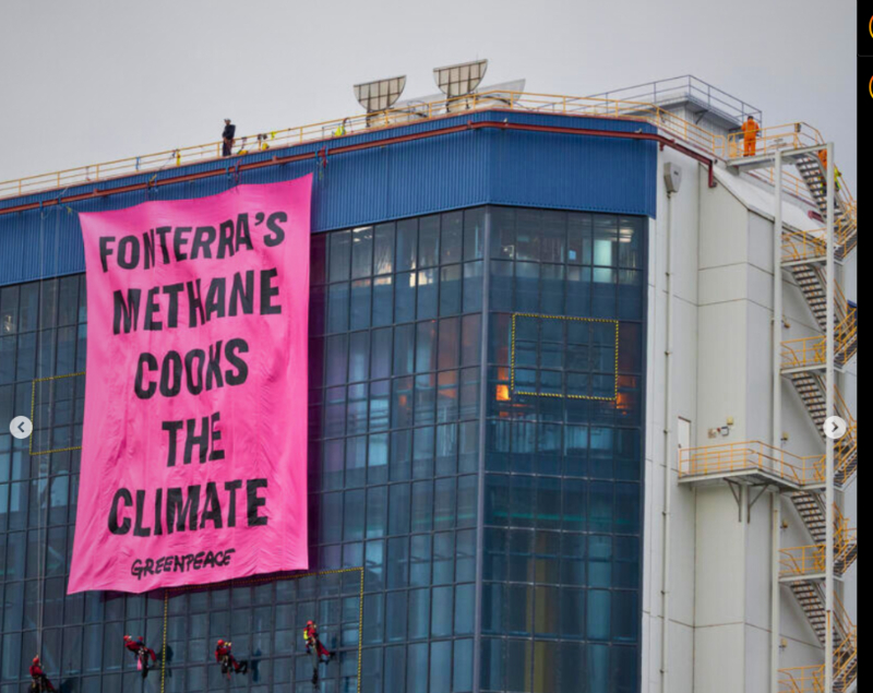 Greenpeace: Η βιομηχανία κρέατος προκαλεί μεγαλύτερη υπερθέρμανση στον πλανήτη από τις πετρελαϊκές