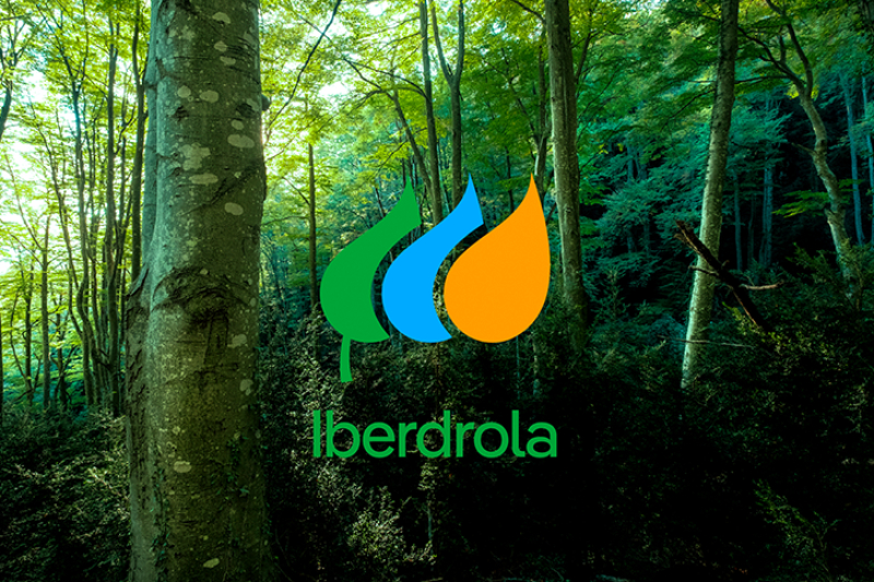 Αυξήθηκαν 50% στα 5,4 δισ. ευρώ τα κέρδη της Iberdrola το 9μηνο
