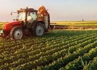 Νέα μελέτη Greenpeace: το 31% των αγροκτημάτων στην Ελλάδα έχει χαθεί Νέα μελέτη Greenpeace: το 31% των αγροκτημάτων στην Ελλάδα έχει χαθεί