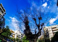 Καιρός: Παρέλαση με λιακάδα και 26 βαθμούς
