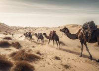 Και όμως χιόνισε στην έρημο της Σαουδικής Αραβίας! [pic,vid]