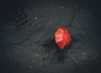 Αποκλιμάκωση της κακοκαιρίας Bora – Έρχεται όμως νέα επιδείνωση από την Πέμπτη Αποκλιμάκωση της κακοκαιρίας Bora – Έρχεται όμως νέα επιδείνωση από την Πέμπτη