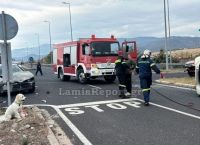Λαμία:Νεκρός 54χρονος σε τροχαίο-Το σκυλάκι του διασώθηκε και περίμενε τον ιδιοκτήτη του δίπλα στο τρακάρισμα