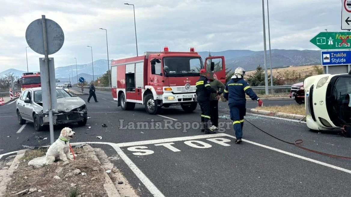 Λαμία:Νεκρός 54χρονος σε τροχαίο-Το σκυλάκι του διασώθηκε και περίμενε τον ιδιοκτήτη του δίπλα στο τρακάρισμα