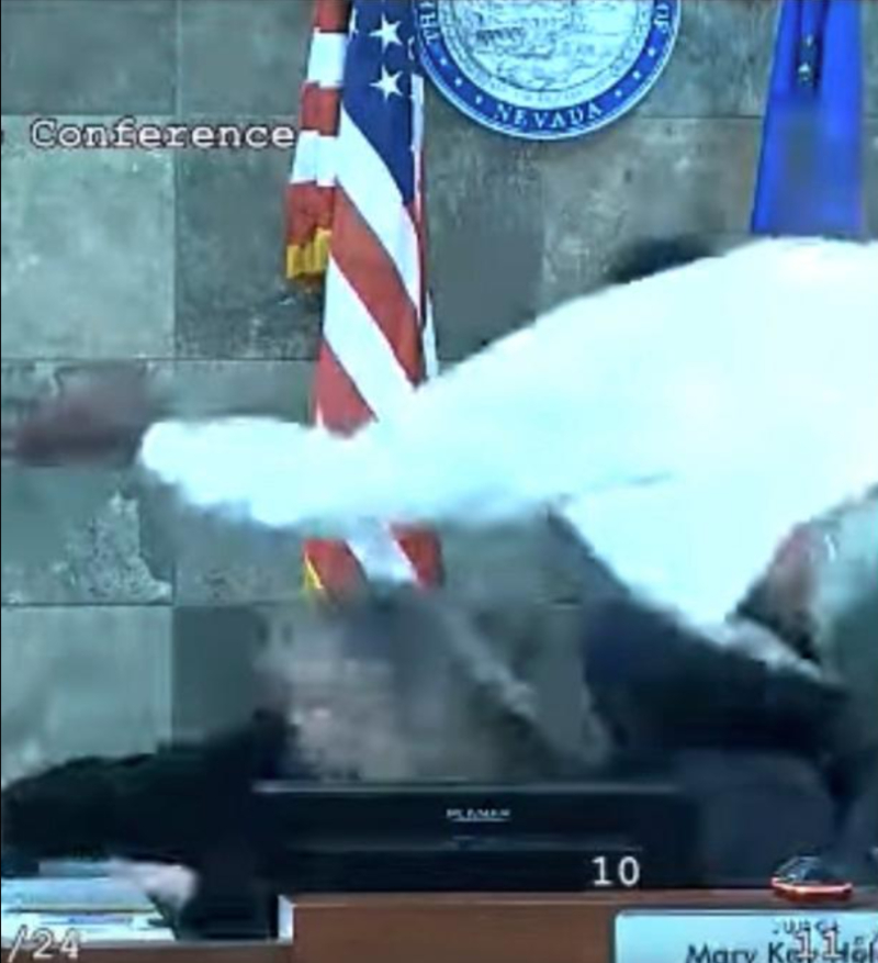 O κακοποιός που όρμησε πάνω σε δικαστή σαν τον Superman θα μπει για τουλάχιστον 26 χρόνια στη φυλακή
