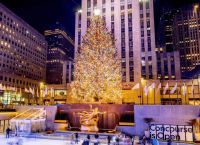 Νέα Υόρκη: Φωταγωγήθηκε το χριστουγεννιάτικο δέντρο στο Rockefeller Center Νέα Υόρκη: Φωταγωγήθηκε το χριστουγεννιάτικο δέντρο στο Rockefeller Center