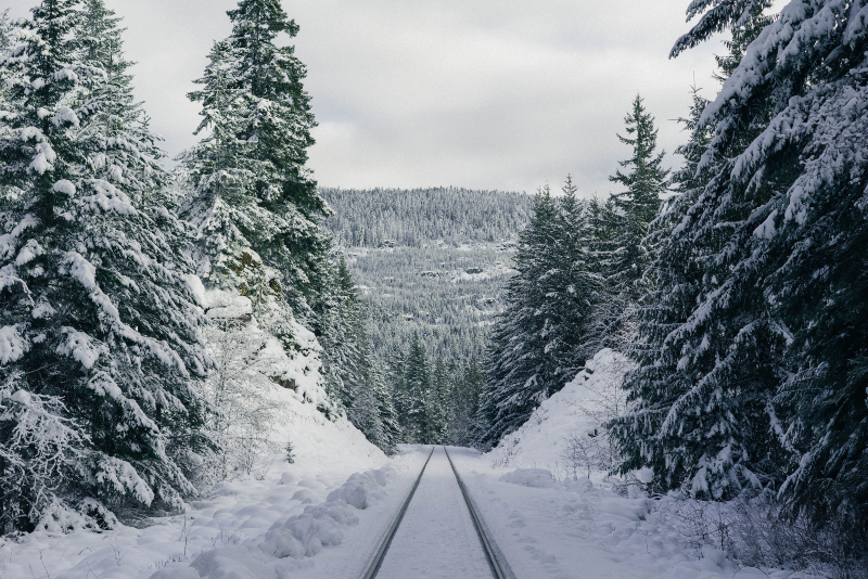 ski-trails-steep-snowy-hill-forest-1