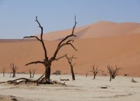 Προειδοποίηση ΟΗΕ: Σε σχεδόν 300 δισ. ευρώ ανέρχεται ετησίως το κόστος των ξηρασιών στον κόσμο