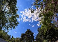 Ανοιξιάτικος ο καιρός το Σαββατοκύριακο – Πόσο θα δείξουν τα θερμόμετρα και πότε έρχεται ξανά χειμώνας