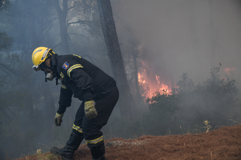 Φωτιά στον Βαρνάβα – Μεγάλη κινητοποίηση της Πυροσβεστικής